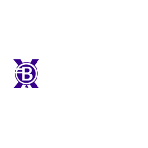 Balloon-X