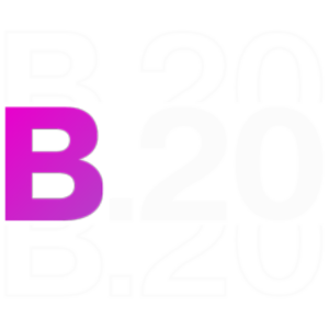 B20