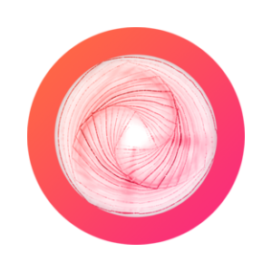 MINUTE Vault (NFTX)
