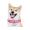 DogeGF